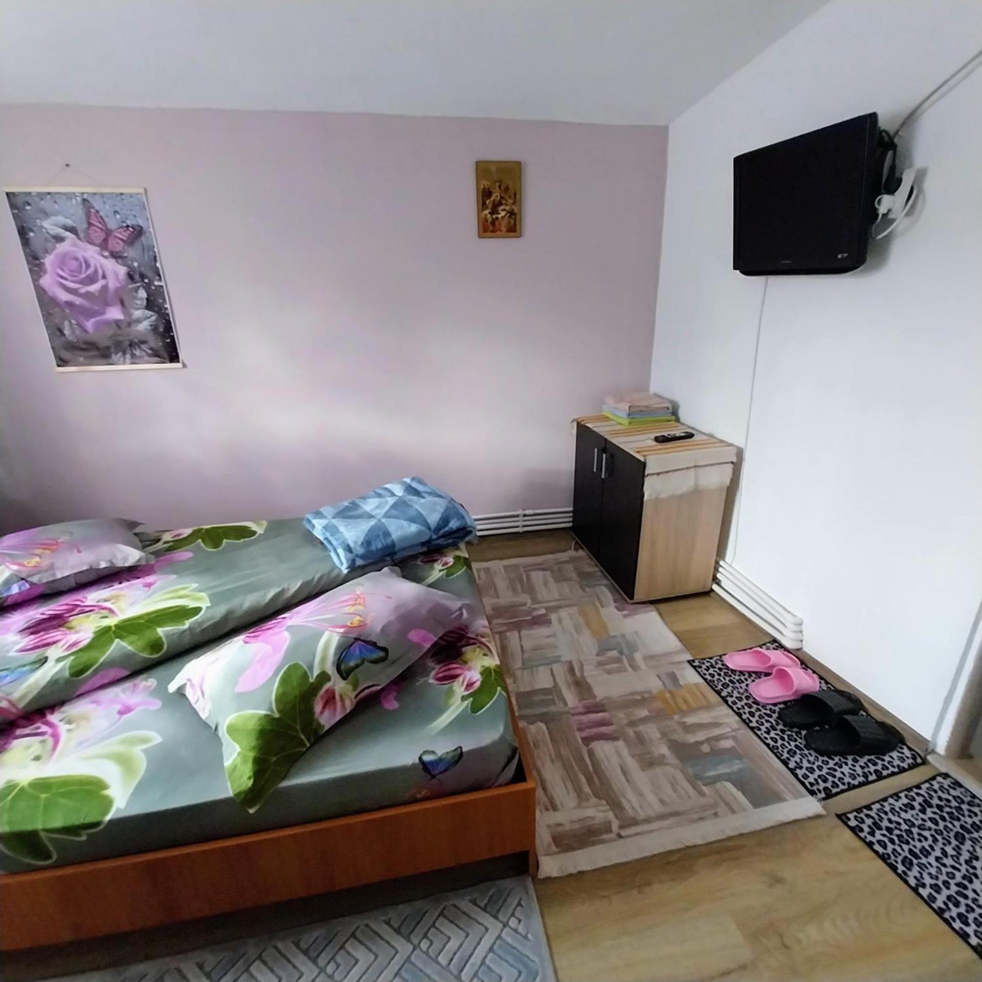 Casa Andreea Hotel Novaci-Straini Ngoại thất bức ảnh